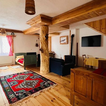 Tara Place - Camp Rabrenovic Мойковац Экстерьер фото