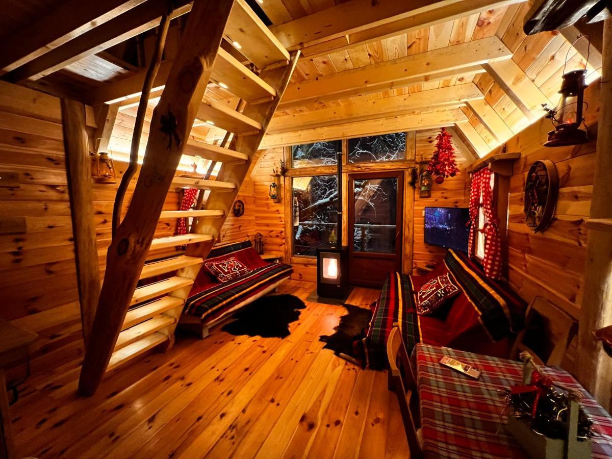 Tara Place - Camp Rabrenovic Мойковац Экстерьер фото