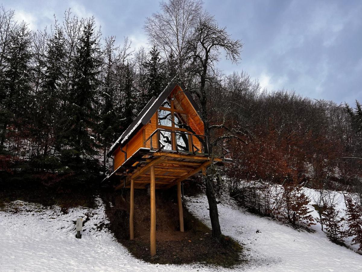 Tara Place - Camp Rabrenovic Мойковац Экстерьер фото